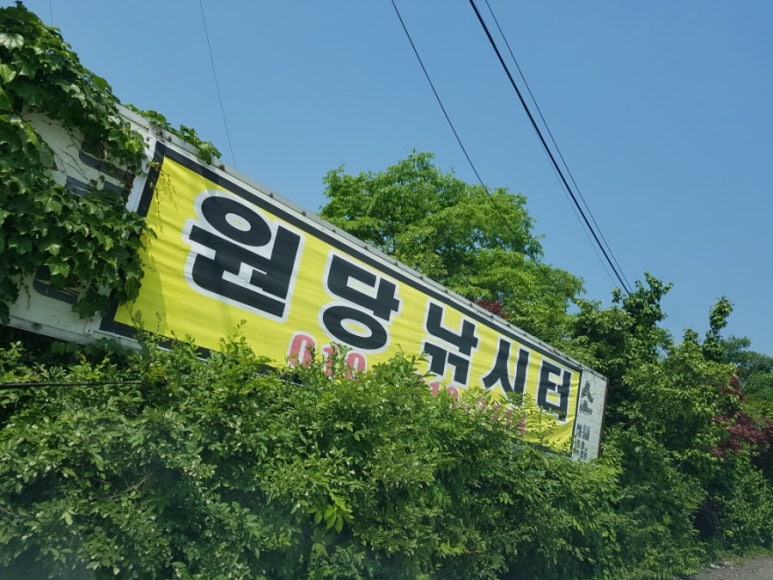 원당낚시터 이미지