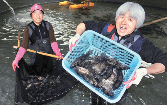 바다의왕국 이미지