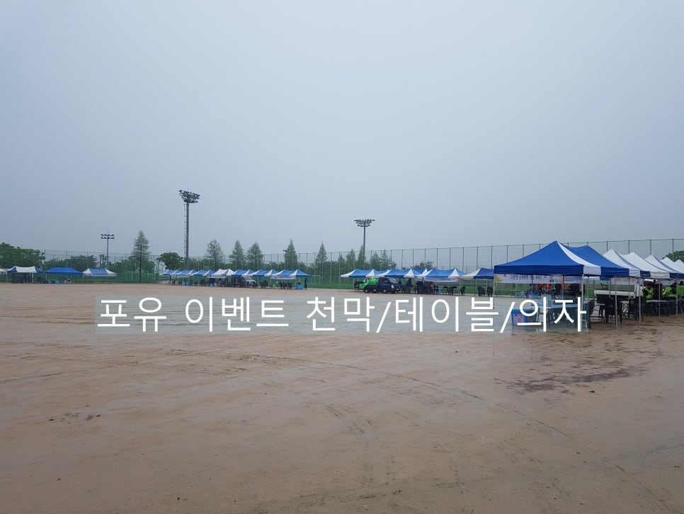 포유이벤트 이미지