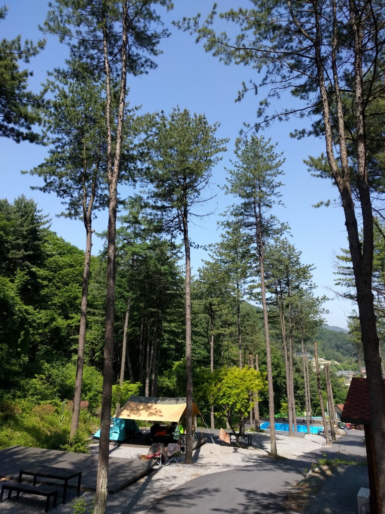 유명산힐링캠프 이미지
