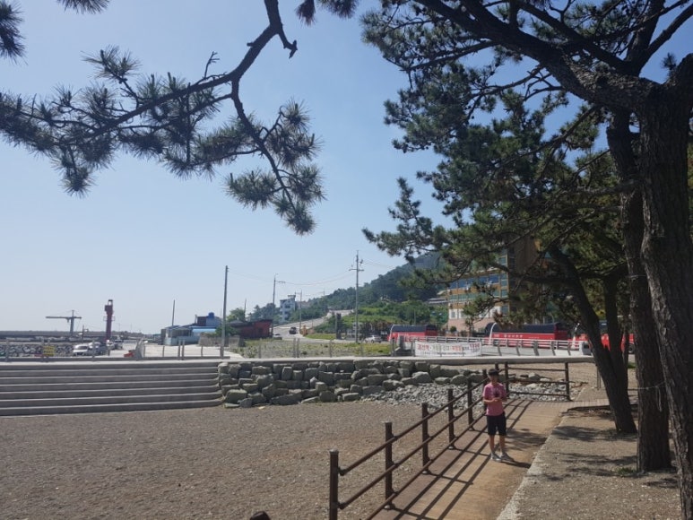 가온여행사 이미지