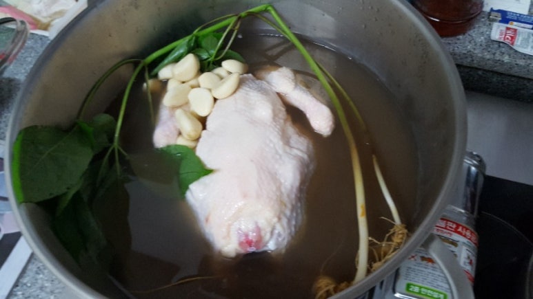 고로쇠산삼농원 이미지