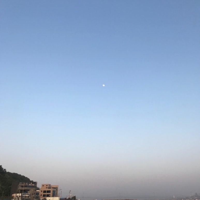 이승윤의알통닭강정 이미지