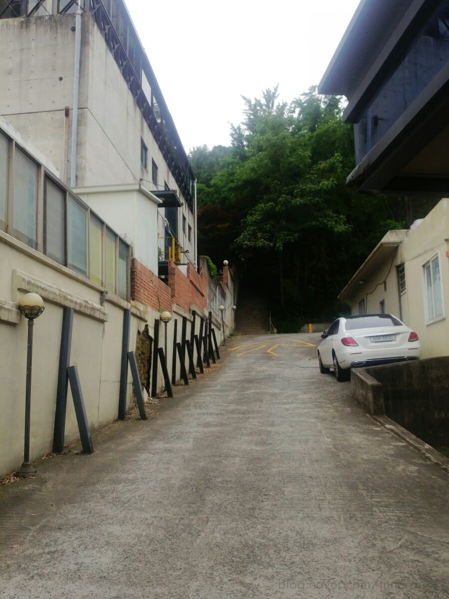레스토랑인비노 이미지