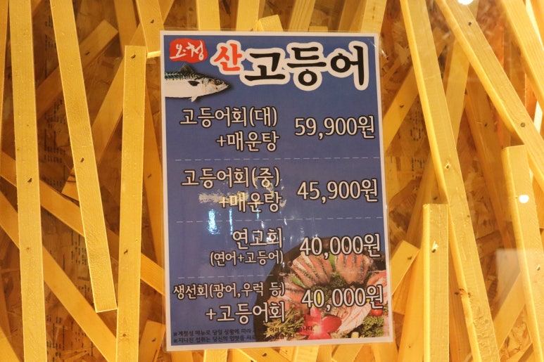청춘물회 이미지
