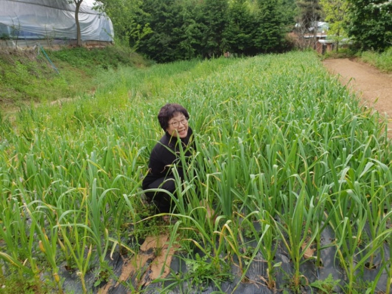 미듬애농장 이미지