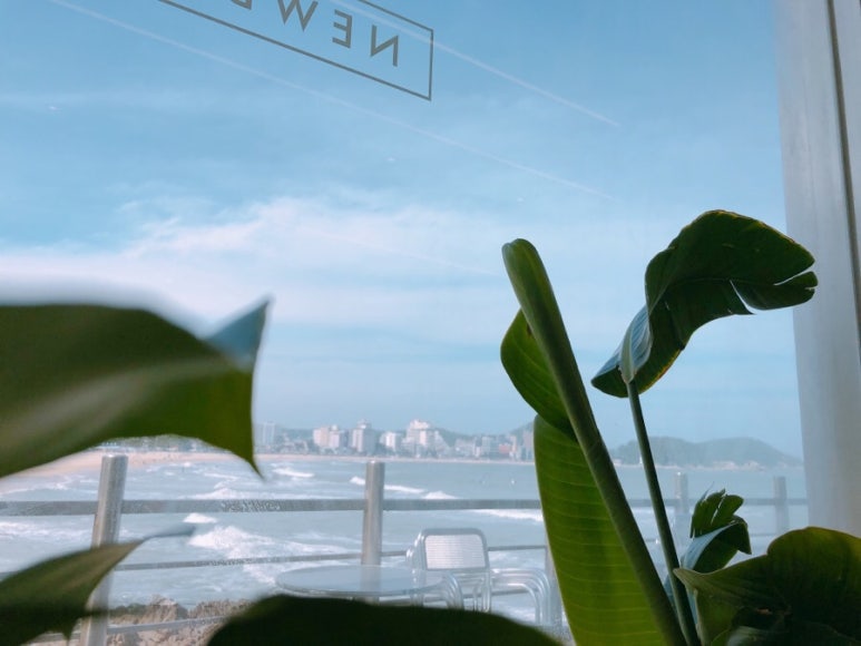 카페뉴벨 이미지