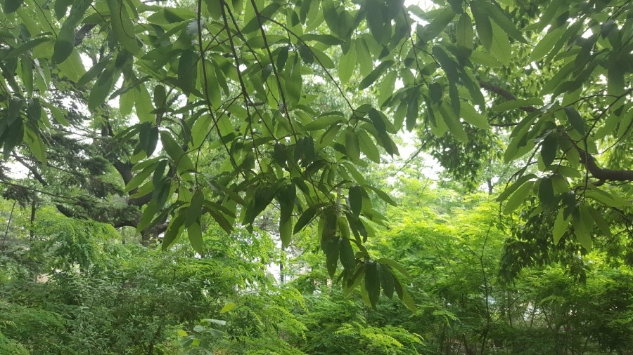 교우동행 이미지