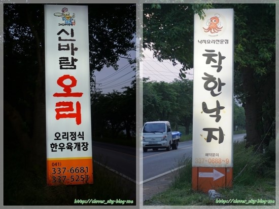 신바람오리 이미지