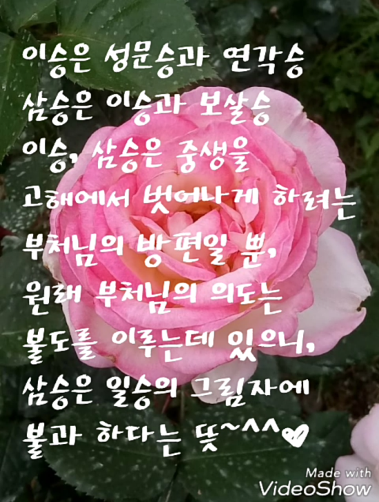삼승 이미지
