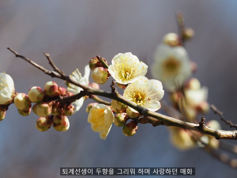 아카데미라운지수내독서실 이미지