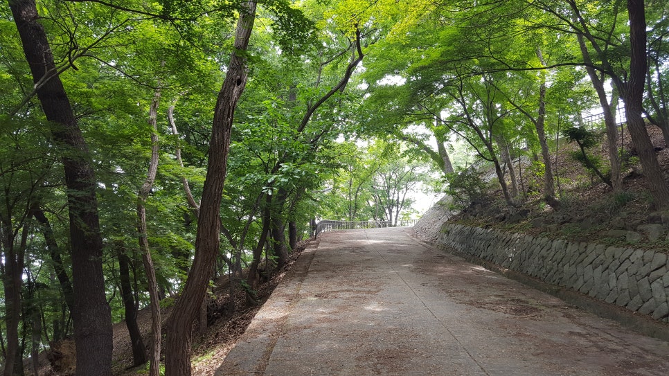 한반도캠핑장민박 이미지