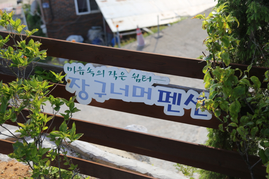 장구너머박정아 이미지