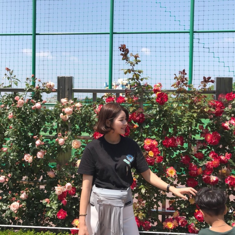 진심가 이미지