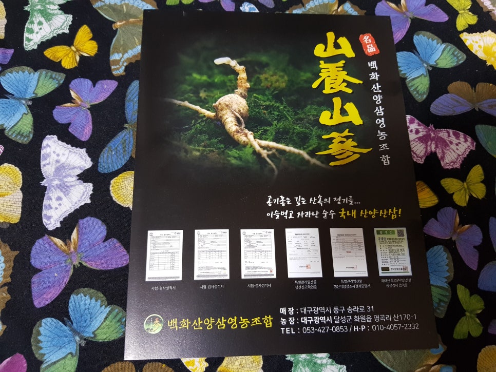 백화산양산삼조합 이미지