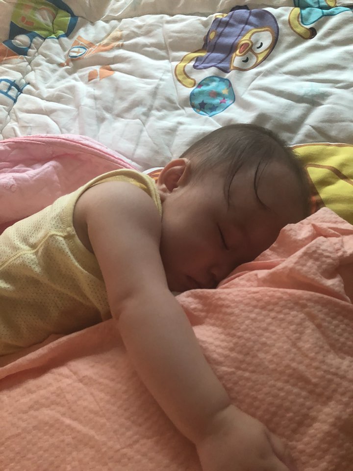 더 헤이마라 이미지