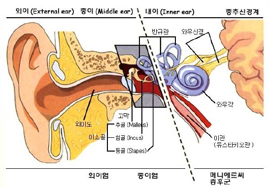 막고막창 이미지