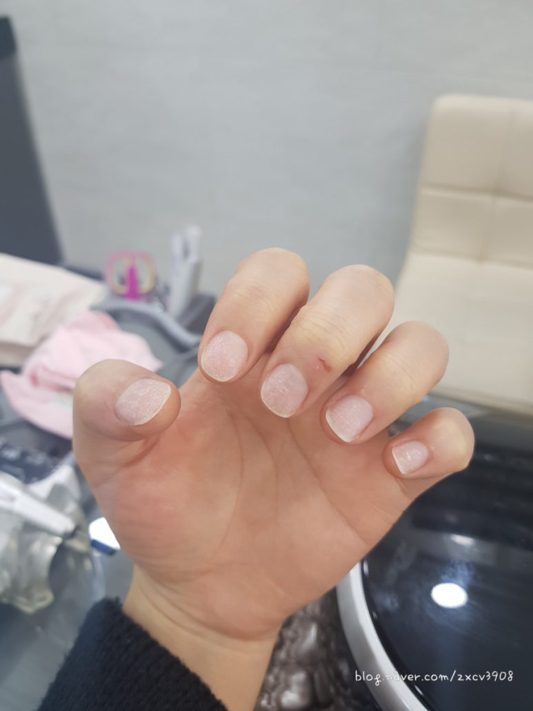 W네일(더블유네일) 이미지