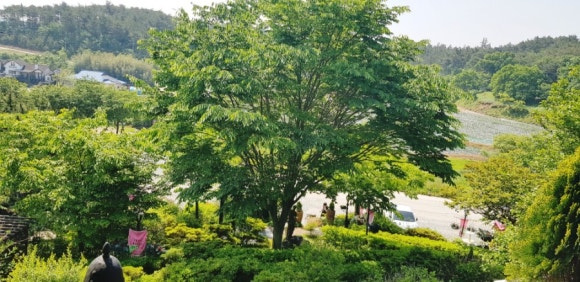 골드펜션커피숍 이미지