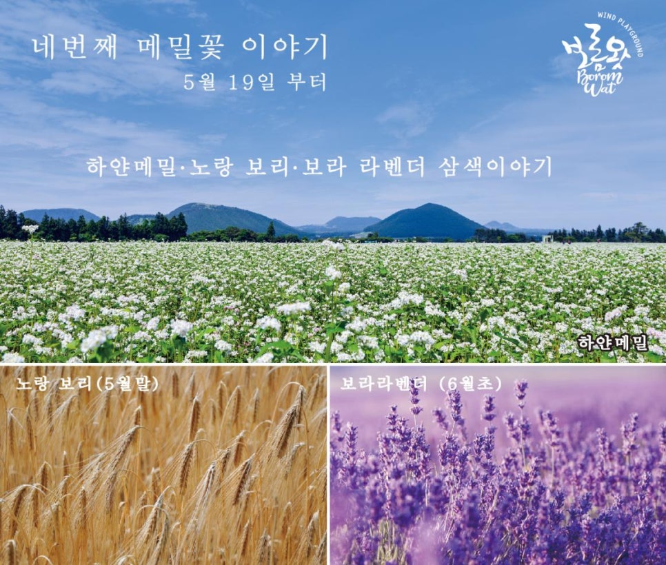제주메밀영농조합법인 이미지