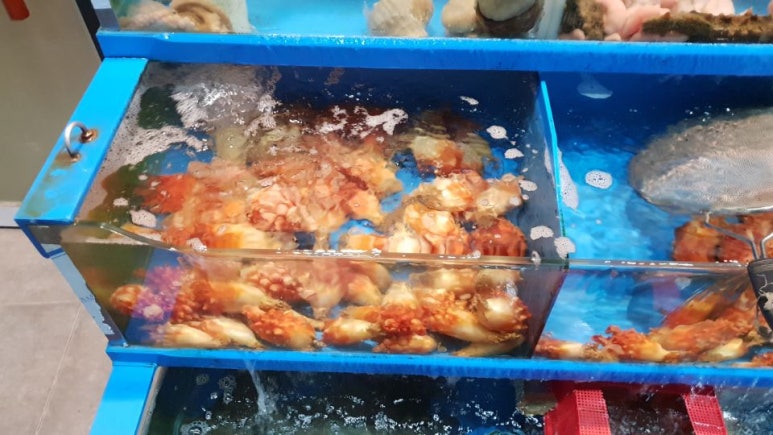싱싱회천국 이미지