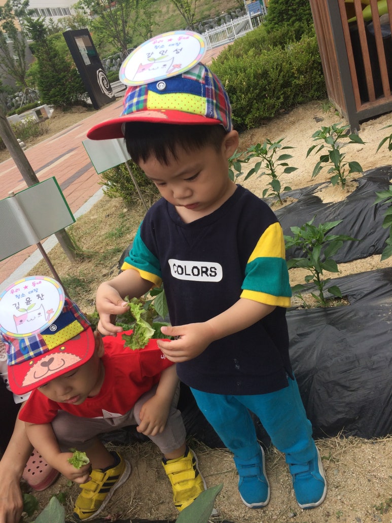 우리동네청소대장 이미지