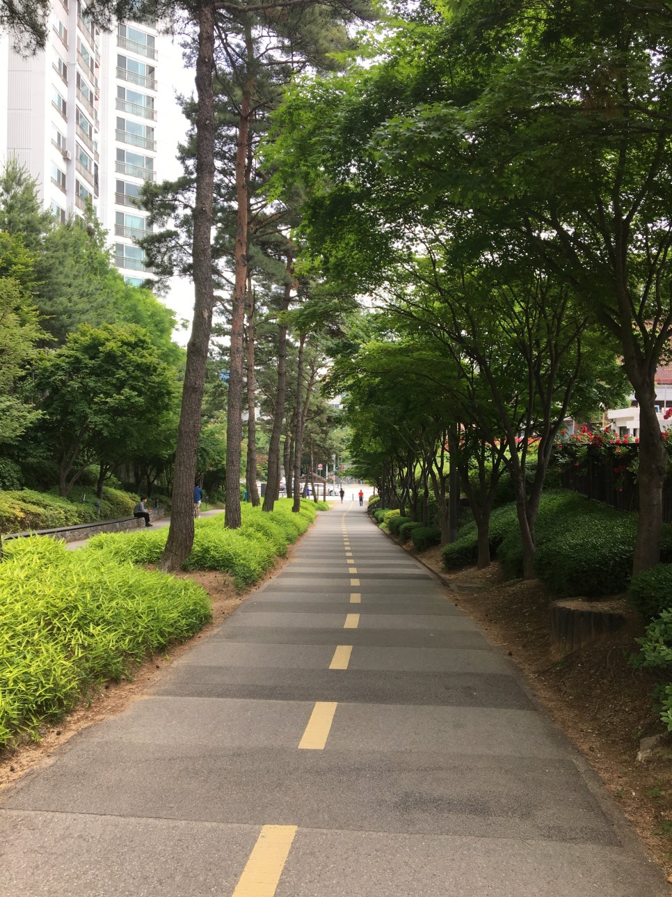 대흥다방 이미지