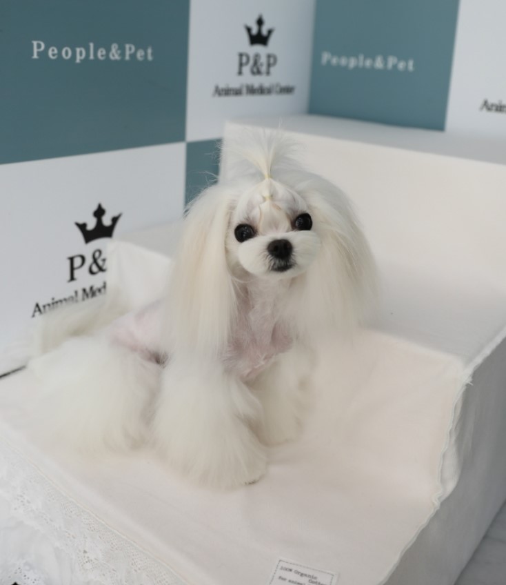 피엔피PC 이미지