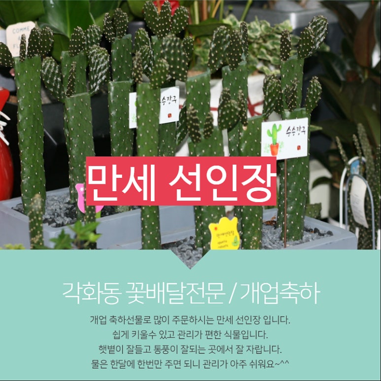 은혜화원 이미지