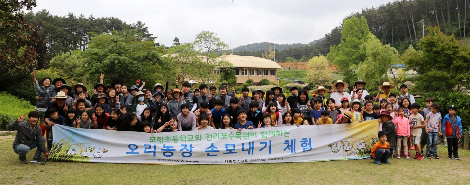 모항초등학교 이미지