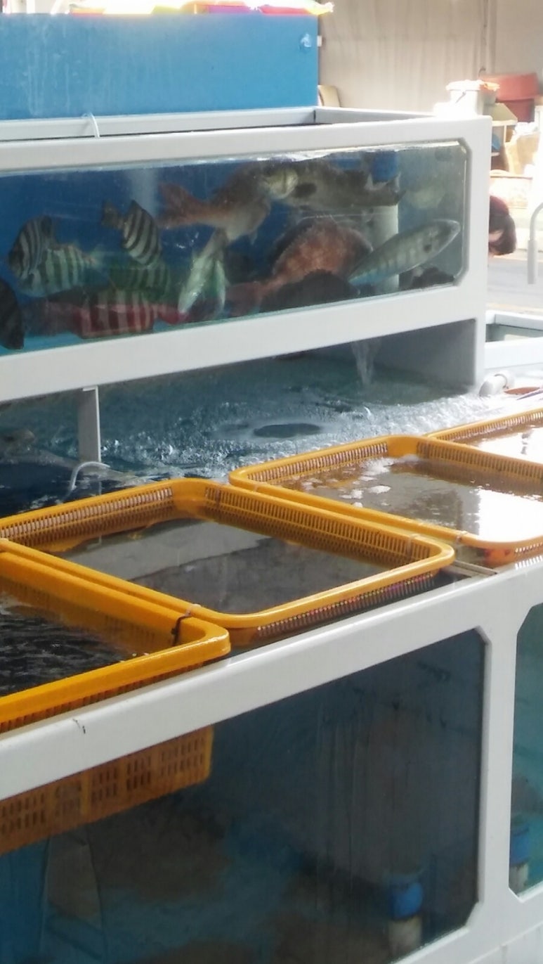 찬이네 수산시장 이미지