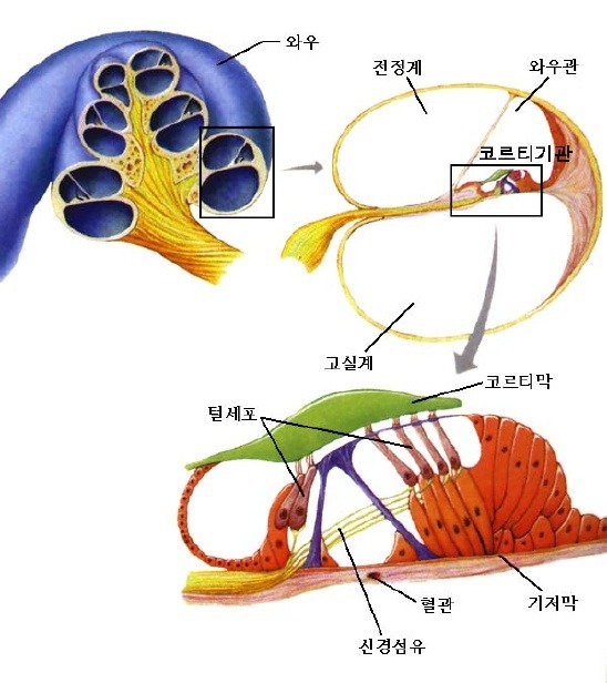 막고막창 이미지