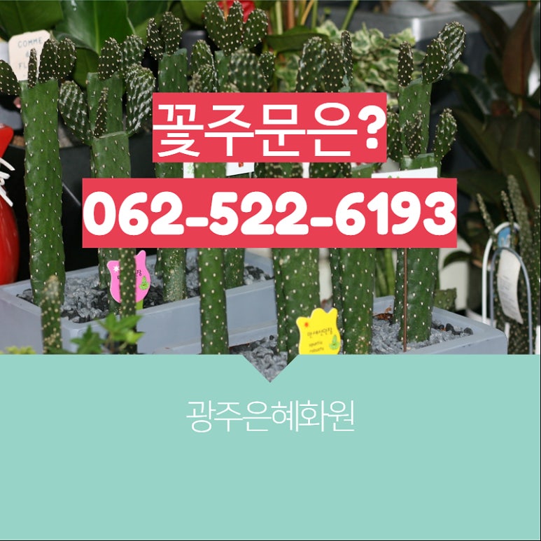 은혜화원 이미지
