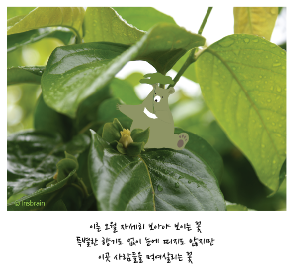 인스브레인 이미지