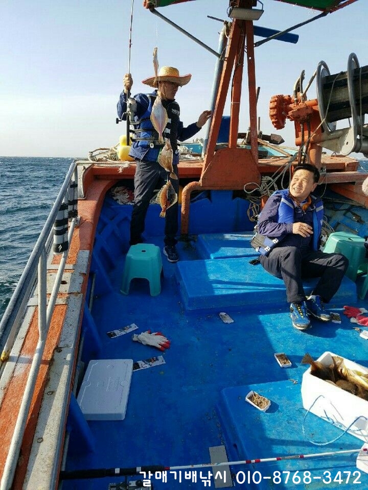 동해바다처럼 이미지