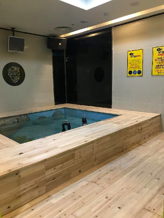 캠프실내스포츠 이미지