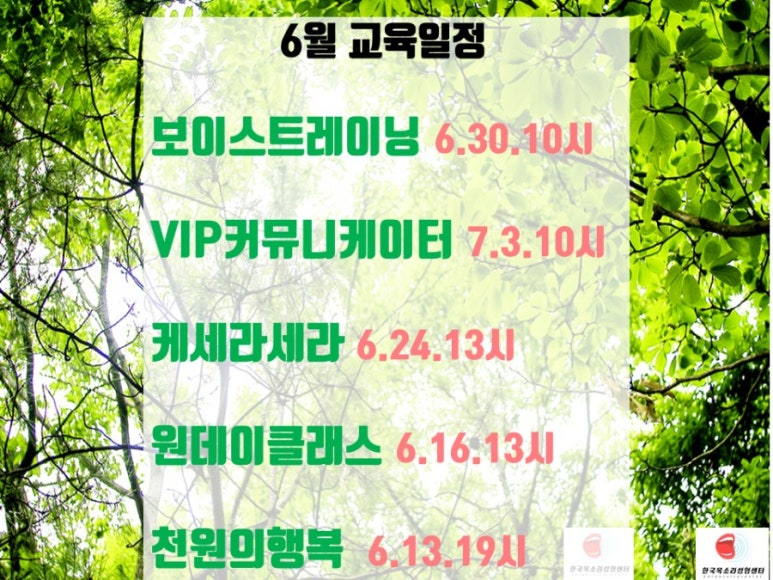 한국스피치교육센타 이미지