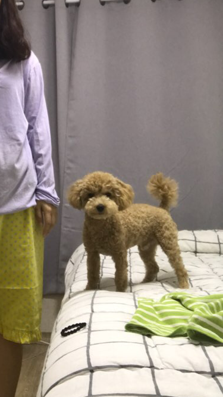 홀리카홀리카광주 이미지