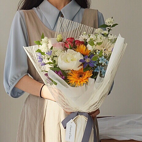 디어리플레르 이미지