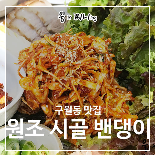 원조 시골밴댕이 이미지