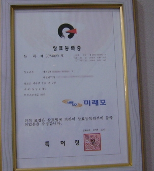미래모 이미지