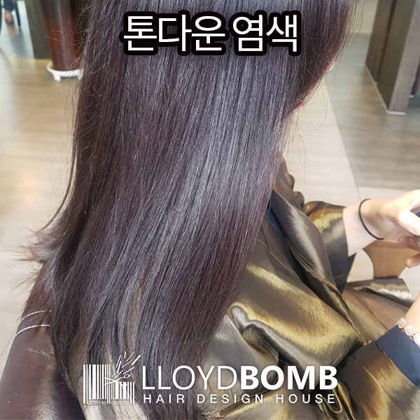 로이드밤 구서점 이미지
