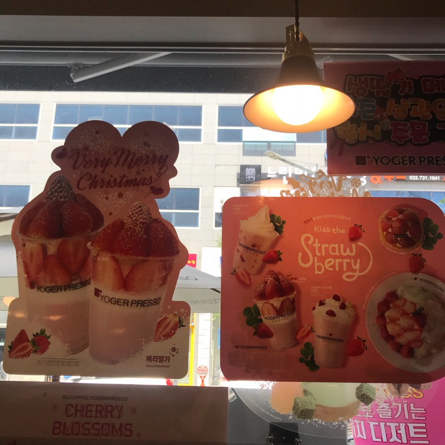 요거프레소원주 이미지