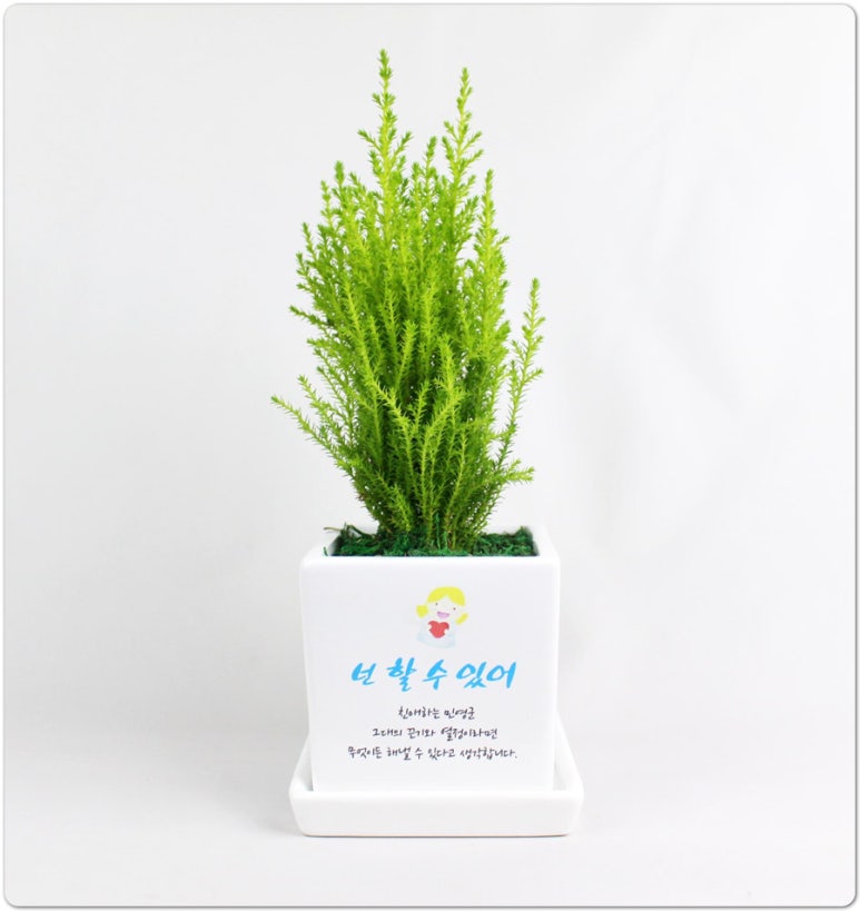 조아그린 이미지