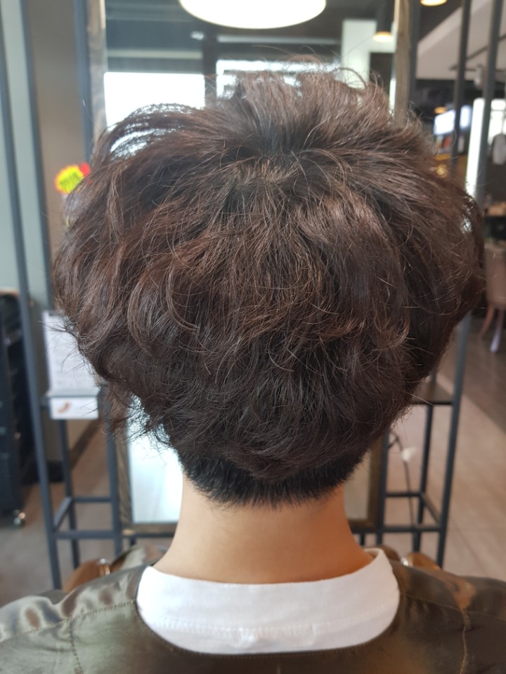 로이드밤 구서점 이미지