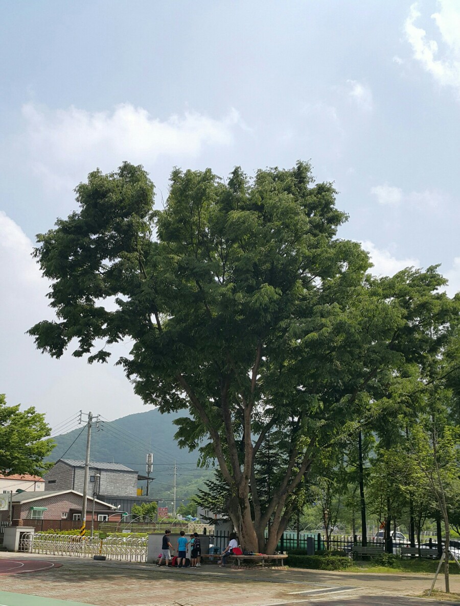 운학초등학교 이미지