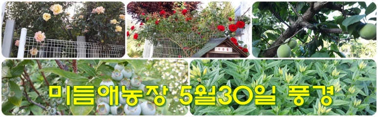 미듬애농장 이미지