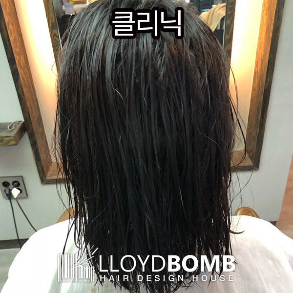 로이드밤 구서점 이미지