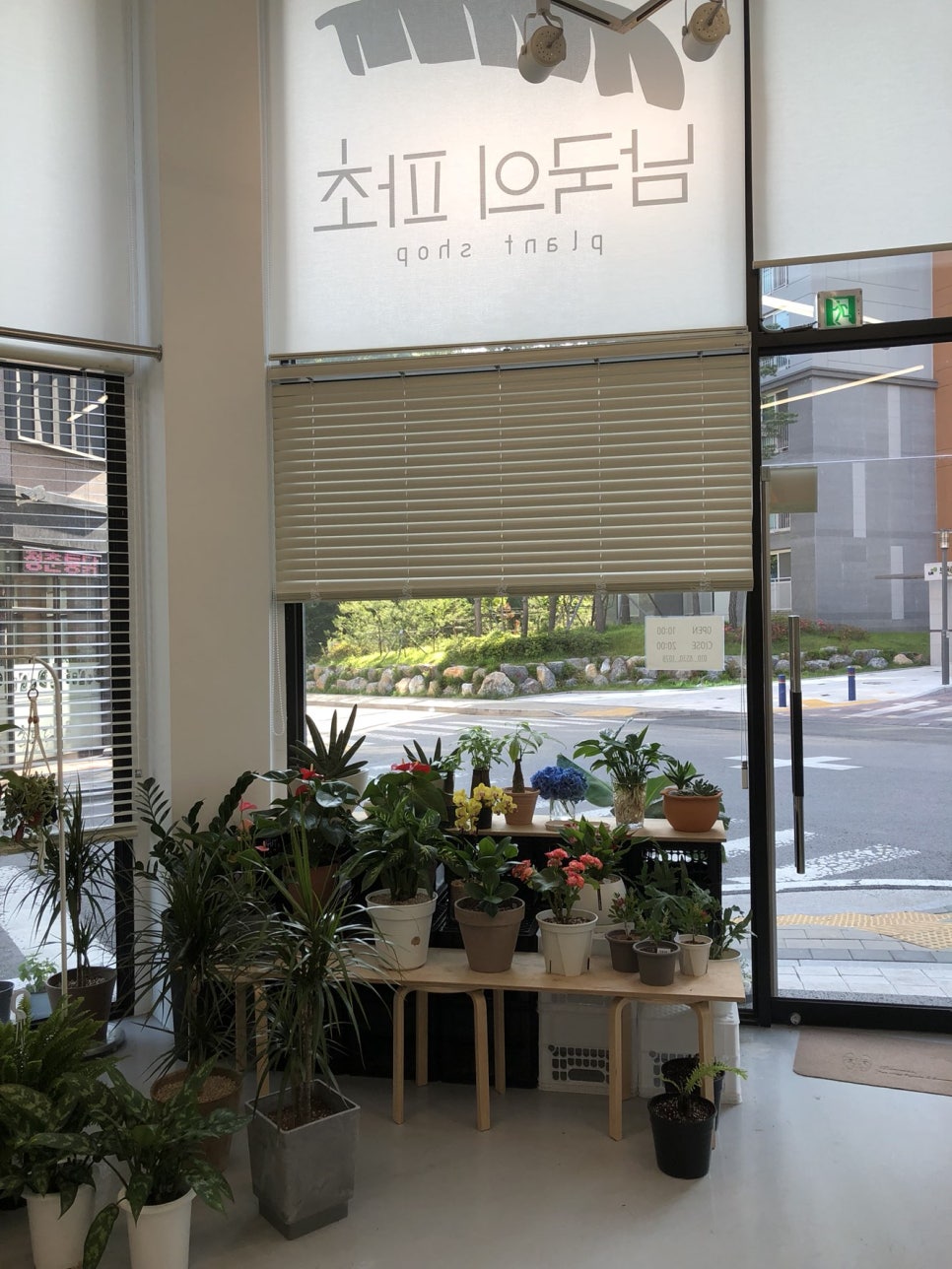 남국의파초 이미지