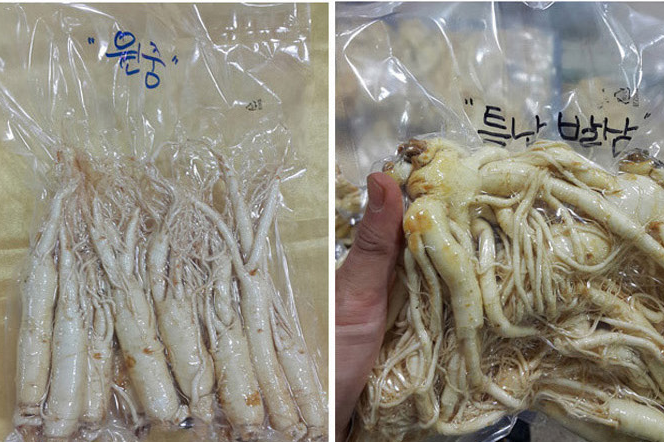 금산수삼시장닷컴 이미지